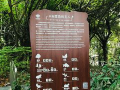 -华侨城湿地公园