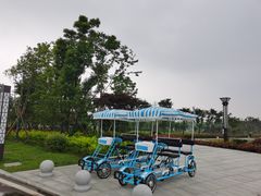 -洪湖湿地生态园