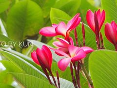 -视禾摄影培训(越秀区分部)