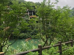 -宁海安岚·南溪阁全日餐厅
