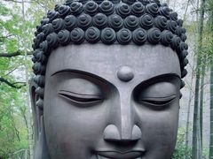 -杭州植物园