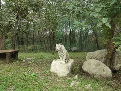 -西安秦岭野生动物园