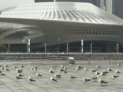 -东港音乐喷泉广场