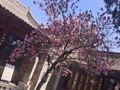 -万寿八仙宫