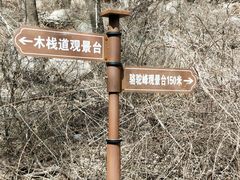 -大岭沟猕猴桃谷风景区