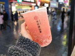 -书亦烧仙草(印象汇都市店)