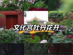 -北京市劳动人民文化宫(太庙)