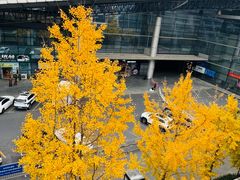 -杭州九堡客运中心