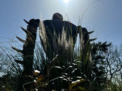 -三鹰之森吉卜力美术馆