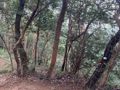 -北高峰