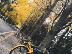 -四川大学(望江校区)