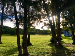 -鹅銮鼻公园