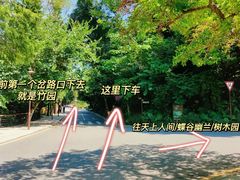 -深圳仙湖植物园