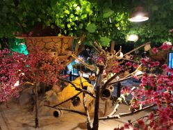 -酷嗒动物文化乐园(cutezoo西溪乐天城店)