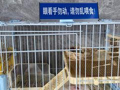 -SHRIMP CLUB万东餐饮钓虾·清吧