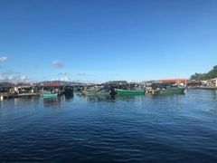 -蓝湾碧波·老字号·疍家非遗海上餐厅