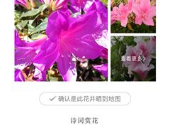 -徐家汇源景区-衡山公园