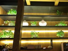 -小厨娘淮扬菜(清江苏宁广场店)