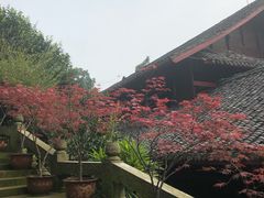 -峨眉山报国寺