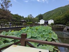 -荷塘味道(水长城店)