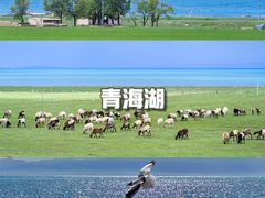 -青海湖国家重点风景名胜区