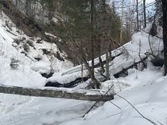 -峡谷浮石林景区
