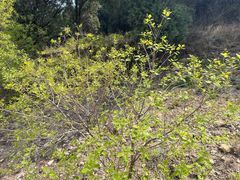 -龙洞风景区-藏龙涧