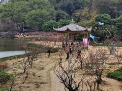 -南国桃园旅游度假区