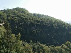 -川西竹海景区