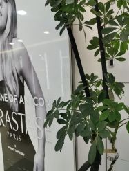 -HaLo hair studio