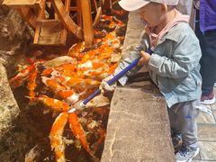 -大连圣亚海洋世界