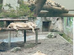-成都动物园