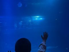 -太平洋海底世界