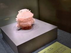 -南京博物院