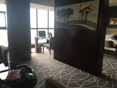 -常州环球恐龙城维景国际大酒店
