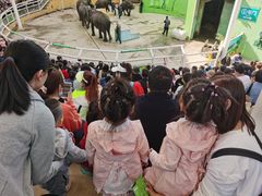 -大连森林动物园