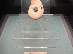 -辽宁省博物馆