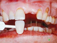 -牙博士口腔品牌连锁(杨浦店)