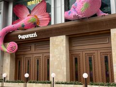 -帕帕拉兹宠物(亚洲旗舰店)