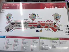 -米兰马尔彭萨国际机场