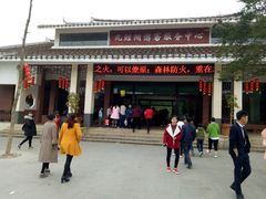 -九鲤湖风景区