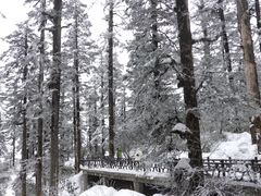 -瓦屋山景区
