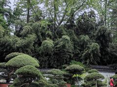 -水绘园