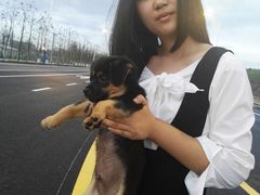 -皇粮浜公园