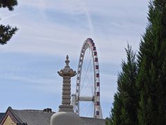 -天津大悲禅院