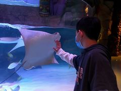 -沈阳海洋探索中心