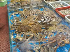 -船奇蒸汽海鲜·闽菜(八市海鲜总店)