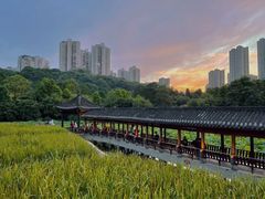 -龙头寺公园