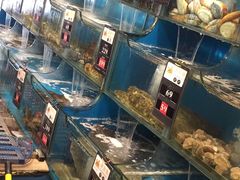 水产区-苏大嘴海鲜牧场(奥林匹克店)