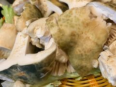 -易门野生菌府·菌海森林(月牙潭公园店)